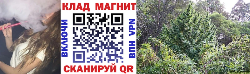 Виды наркоты Кировград COCAIN Марихуана КЕТАМИН APVP АМФЕТАМИН ГАШ Меф