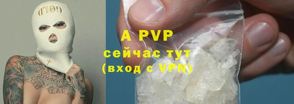 ГАЛЛЮЦИНОГЕННЫЕ ГРИБЫ Богородицк