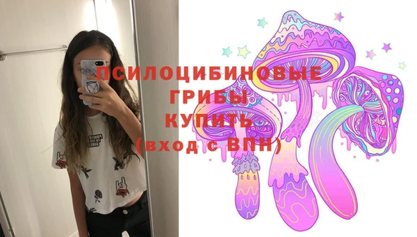 марки lsd Богданович