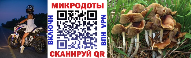 маркетплейс какой сайт  Кировград  Псилоцибиновые грибы мицелий 